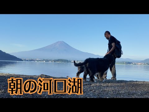 刺激を求めて朝の散歩