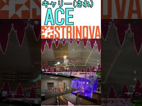 【STRINOVA】ハイパーキャリー(され)ACE #strinova #ストリノヴァ #ストリノヴァ実況者 #calabiyau