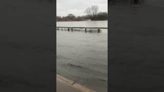 Flood in london near river thames 2024. #flood #riverthames #london #reels #reel