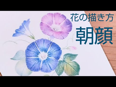 Tole painting How to draw flowers (morning glory) acrylic painting