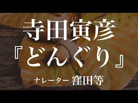 『どんぐり』作：寺田寅彦　朗読：窪田等　作業用BGMや睡眠導入 おやすみ前 教養にも 本好き 青空文庫