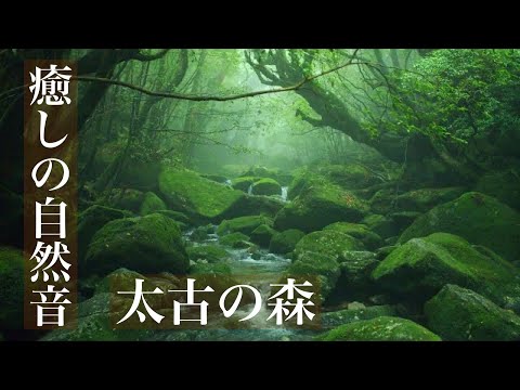 眠りを誘う森の水音　睡眠・勉強・作業用BGM・ASMR