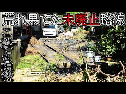 【謎路線】臨海部に張り巡らされる怪しい線路を探索しました