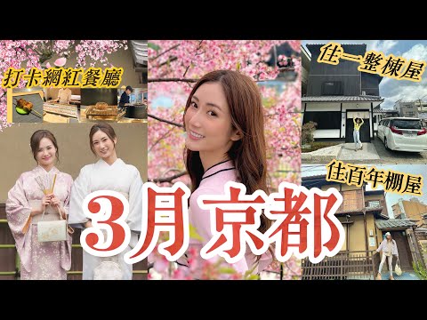 【3月京都】快閃3日😍入住百年棚屋+獨棟屋🌸賞櫻勝地🌸請了一位攝影師替我們和服打卡👘 @kayanc  蔡嘉欣