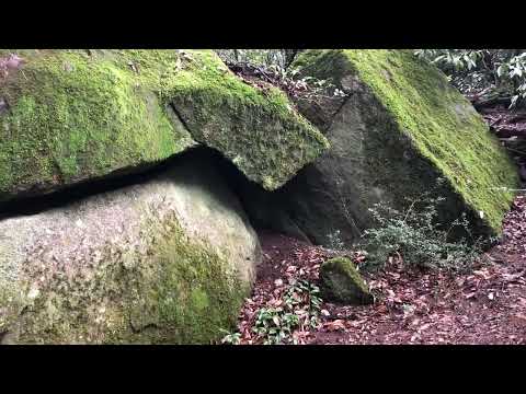 浮嶽登山