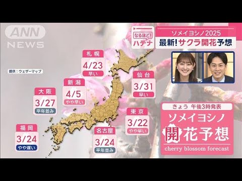 ソメイヨシノ2025　最新！サクラ開花予想【スーパーJチャンネル】(2025年3月13日)