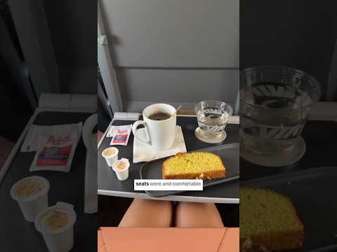 Is BUSINESS CLASS on a TRAIN worth it?! (TRAVEL VLOG) #viarail #montrealtourism