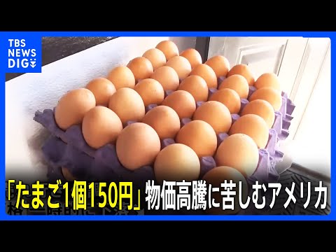 NYで「たまご1個150円」でばら売りも　物価高騰に苦しむアメリカ【現場から、】｜TBS NEWS DIG