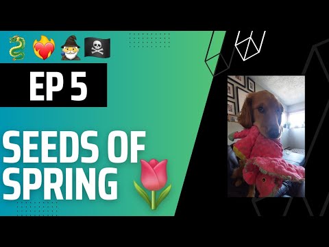 First Week of New Job, Finding Balance and Focusing on Sleep Discipline - SEEDS OF SPRING Episode 5