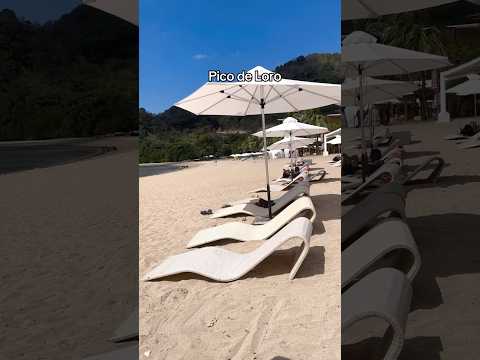 PICO DE LORO BEACH🏖️ #shorts #beach #picodeloro #shortvideo #bestbeach  #travelvlog #arleneaces