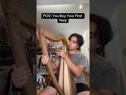 POV: You Buy Your First Harp 🥰