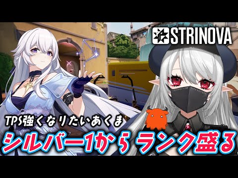 【#Strinova】TPS初心者によるストリノヴァランク回す配信【 #あくまメリル 】