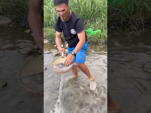 Hinampas ang isda kakaiba sya manghuli