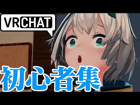 【VRChat】紅シャケのShorts 初心者集