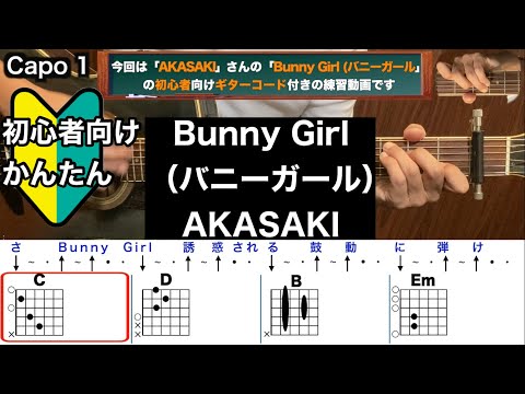 Bunny Girl(バニーガール)/AKASAKI/ギター/コード/弾き語り/初心者向け/簡単