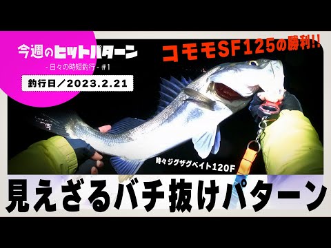 【三重北部のシーバス】見えざるバチ抜けパターン／コモモSF125の勝利【2023.2.21 今週のヒットパターン ‐日々の時短釣行‐／＃1】