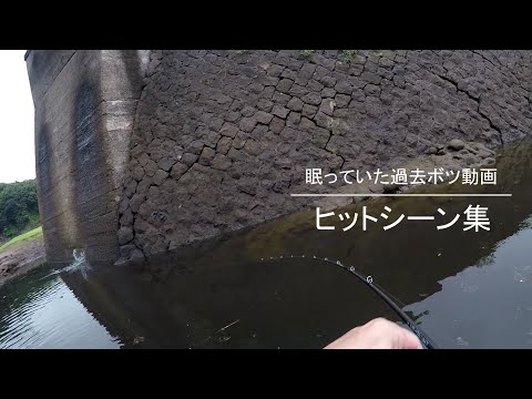 過去ボツになったバス釣り動画ヒットシーン集！　トップウォータールアーその他　亀山ダム　三島ダム。