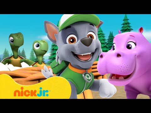 PAW Patrol Baby Animals Rescues & Adventures! w/ Rocky #4 🐱 10 Minutes | Nick Jr.