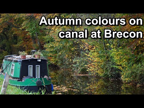 Monmouthshire and Brecon Canal, Autumn colours, November 2024