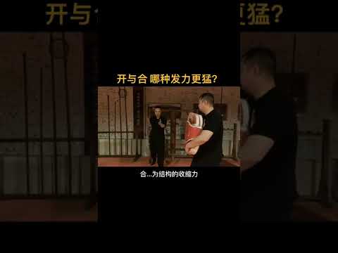 作靈感 武術中：開似電閃，合如雷！大家探討 武術 詠春 葉問 格鬥  中華傳統武術