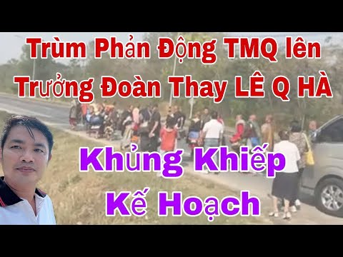 Trương M Quân thay thế LÊ Q HÀ làm trưởng đoàn...