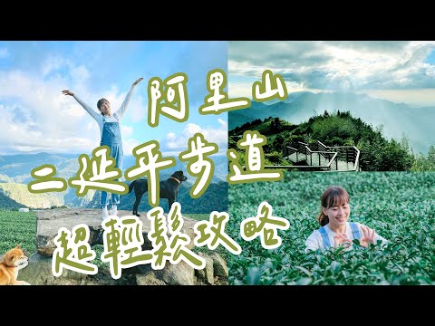 【嘉義】隙頂坐看阿里山日出！二延平步道超輕鬆私房路線，茶園、雲瀑、雲海和晚霞，一次滿足！超舒適民宿，日出也悠閒。山上吃火鍋最暖心，自家脆甜高山蔬菜！2天1夜超內行行程｜1000步的繽紛台灣 Ep434