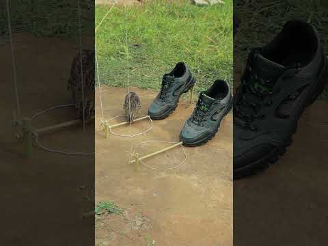 Building a Traditional Technique Quail Trap from Shoes and Wood #shortvideo #shorts #animaltrap