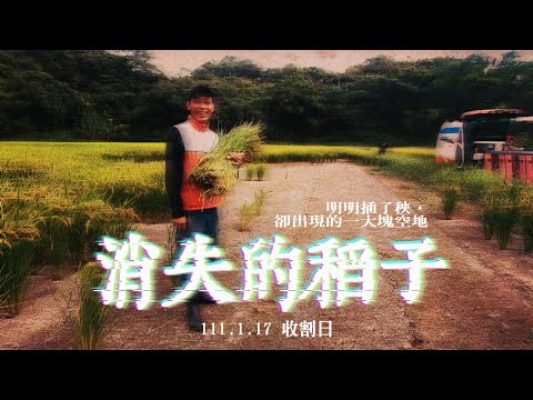 【花漾好日子 稻農篇】EP5 稻米離奇失蹤，明知兇手卻無法定罪