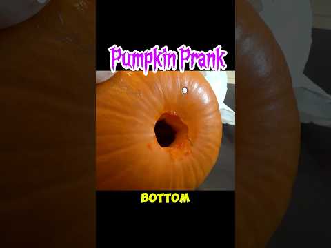 Halloween pumpkin prank #halloweeen #prank #pumpkincarving in