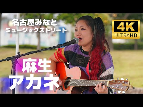 麻生アカネ ／ 名古屋みなとミュージックストリート （名古屋港ガーデンふ頭臨港緑園つどいの広場）2024年11月10日