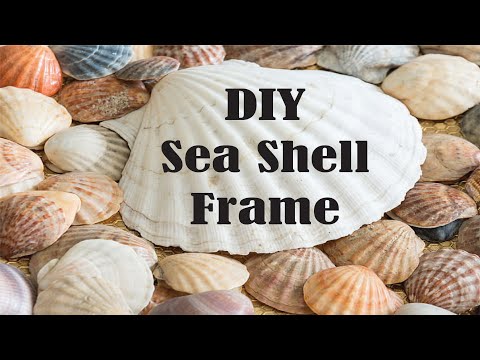 DIY Sea shell Frame Idea| @CraftStack