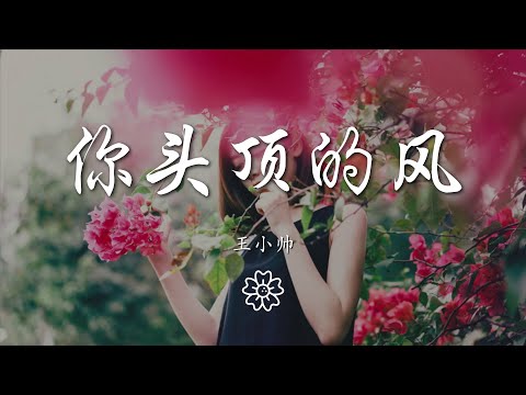 王小帥 - 你頭頂的風『我藏在人羣 中然後失去晴空』【動態歌詞Lyrics】