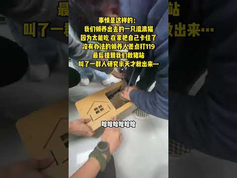 《根据真实事件改编》