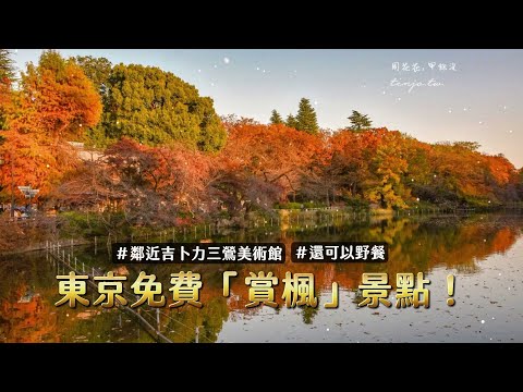 東京免費「賞楓」景點！楓紅下野餐超浪漫　還能順遊吉卜力美術館｜ETtoday旅遊雲