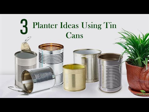 Awesome Ways To Use Waste Material into Indoor Planter Pots | WASTE MATERIAL Gardening//GREEN PLANTS