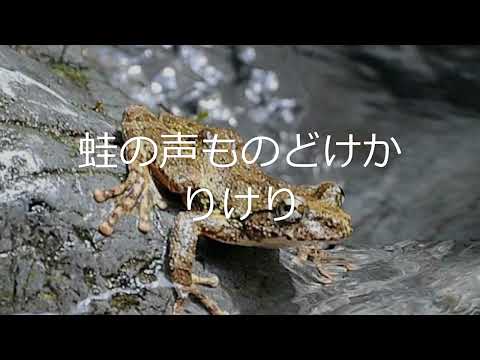 一葉日記「若葉かげ」④