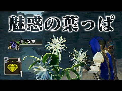 狩猟なしでレア装飾品やアーティア武器が簡単に効率よく入手できる『儚げな花マラソン』がすごい【モンハンワイルズ モンスターハンターワイルズ 切り抜き】