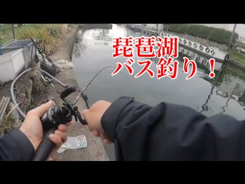 バス釣り#琵琶湖 #琵琶湖バス釣り #ブラックバス #バスフィッシング