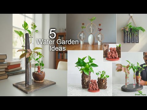 Indoor Water Gardening: 5 Unique Ideas Using Your Favorite House Plants | Water plants//GREEN PLANTS