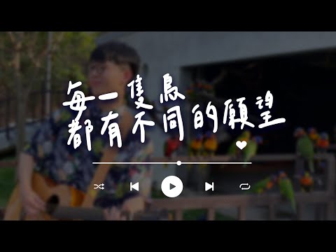 【每一隻鳥都有不同的願望】完整版MV｜Official Music Video｜1000步的繽紛台灣｜呂LU (承翰)