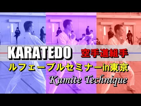 空手道組手テクニック元世界王者ルフェーブルセミナーin東京 karatedo kumite