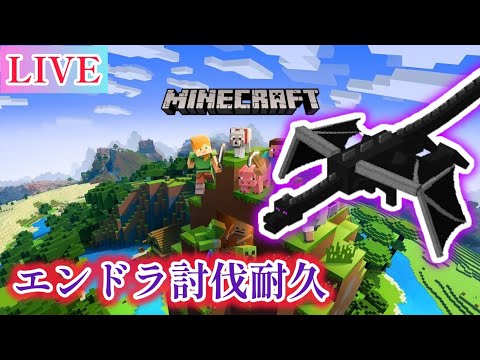 【マイクラ】今年ラストエンドラ