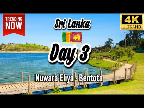 🇱🇰 #Sri Lanka | 🇱🇰Day 3|⛰️ A Journey from Nuwara Eliya to Bentota | #mountains