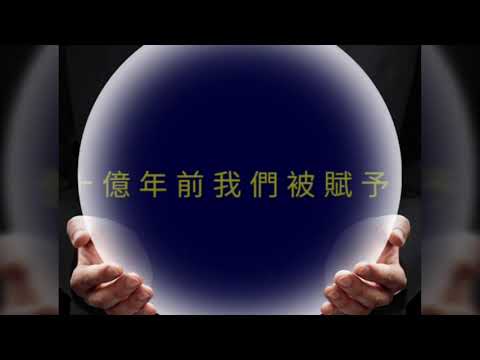 鳳林心境 - 天公伯啊 ! 請翻轉我的生命  導讀 ~