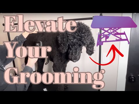 Don't Buy a Dog Grooming Table Without Watching This