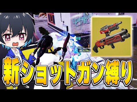 『SGとSMGが合体』した新武器１丁でソロランクに挑戦!!【フォートナイト/Fortnite】