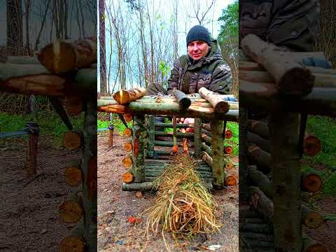 Trap  #bushcraft #trap #survival