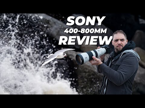 Sony 400-800mm f/6.3-8 G OSS Lens Review | The Best Lens for Bird Photography?