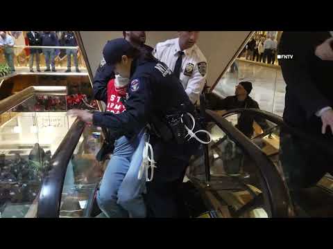 MASS ARRESTS inside Trump Tower as Pro-Palestine Protesters Occupy Atrium for Mahmoud Khalil