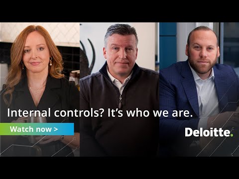 Deloitte’s Internal Controls Cosourcing Services